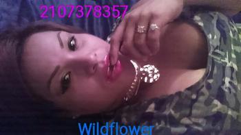 , 36 Latino/Hispanic female escort, San Antonio